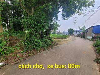 Đường trục chinha của lànglô góc 2 mặt tiền cách chợ, bến bus 80m