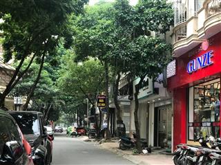 Bán nhà phố Trần Đăng Ninh, Cầu Giấy, 45m Ôtô KD 12,8tỷ 0979353468
