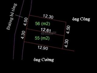 Chính chủ cần bán lô 55m tại ngọc tảo phúc thọ hà nội