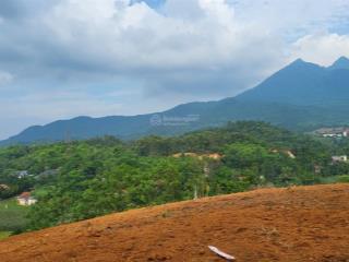 Cần bán 2500m2 có 200m2 ont, thông dy  minh quang. lưng tựa núi view toàn cảnh thôn dy