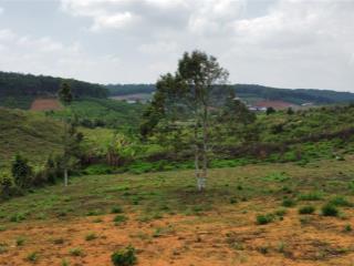 Đất thổ cư giá rẻ, view đồi thông, gần khu tropicana garden 2, b'lá, bảo lâm, lâm đồng