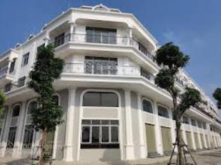 Bán căn shophouse 10tt2.2 calyx residence uy nỗ đông anh cđt 319 bqp