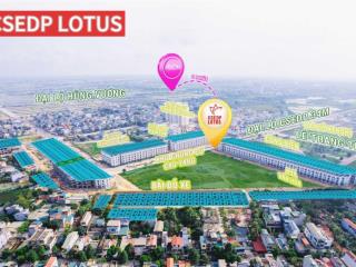 Mở bán dự án liền kề csedp lotus  hồ sen mặt đường đại lộ csedp