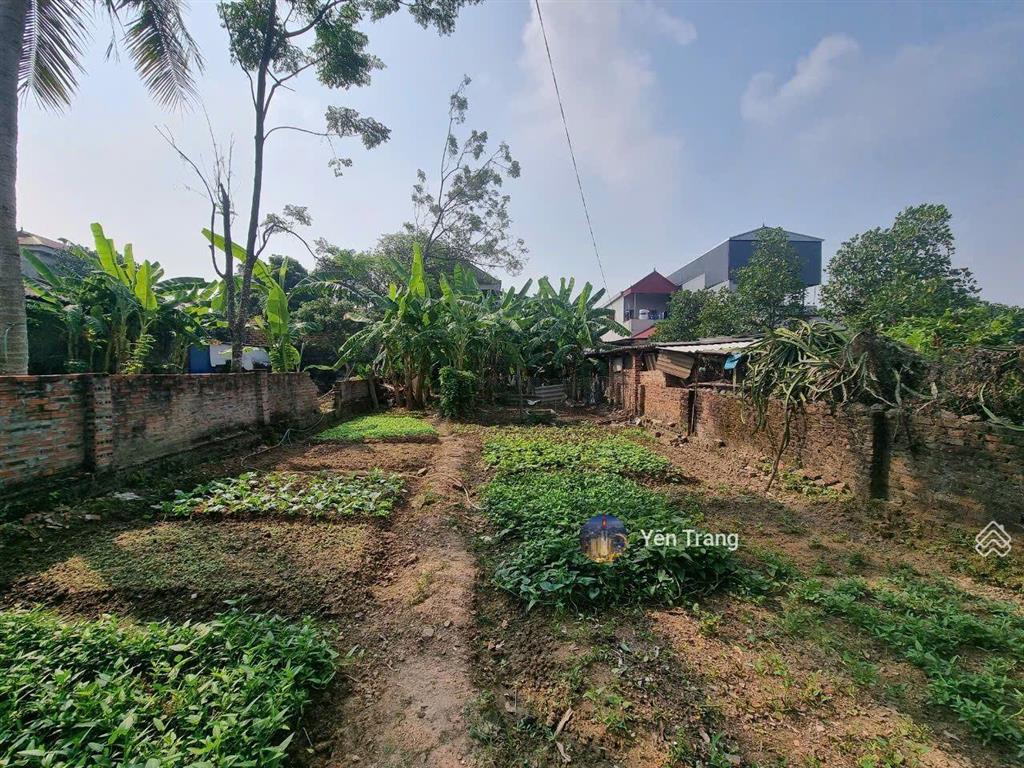 Bán đất minh trí sóc sơn, ô tô tránh, 250m2, mt 9m, chỉ 25tr/m2.