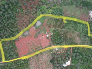 Chính chủ cần bán nhanh lô đất nông nghiệp tại xã đắk drô, huyện krông nô, tỉnh đắk nông