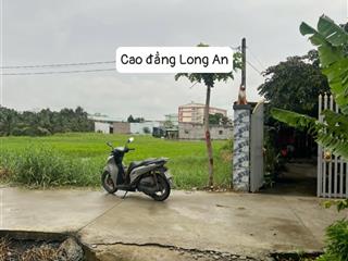 Cần bán gấp 500m2 p5 tp tân an đối diện trường cao đẳng long an 650tr