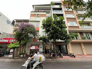 Cực gấp! bán toà building 8 tầng thông sàn mặt phố trần quang diệu, mặt tiền 5m, giá đầu tư