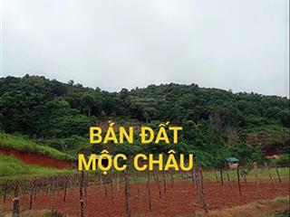 Bán đất nghỉ dưỡng mộc châu vị trí vàng, giá siêu tốt!