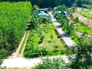 Khánh trung farm 2700m2 siêu đẹp, tiện ích đầy đủ, giá đầu tư