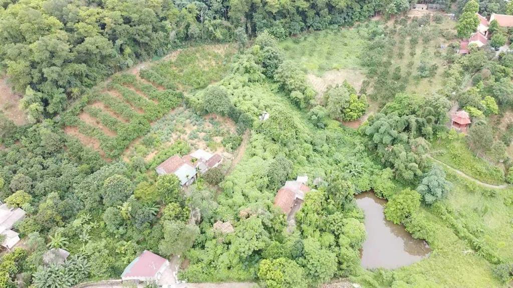 Bán đất ba vì, hà nội trong đất có ao gần sông đà