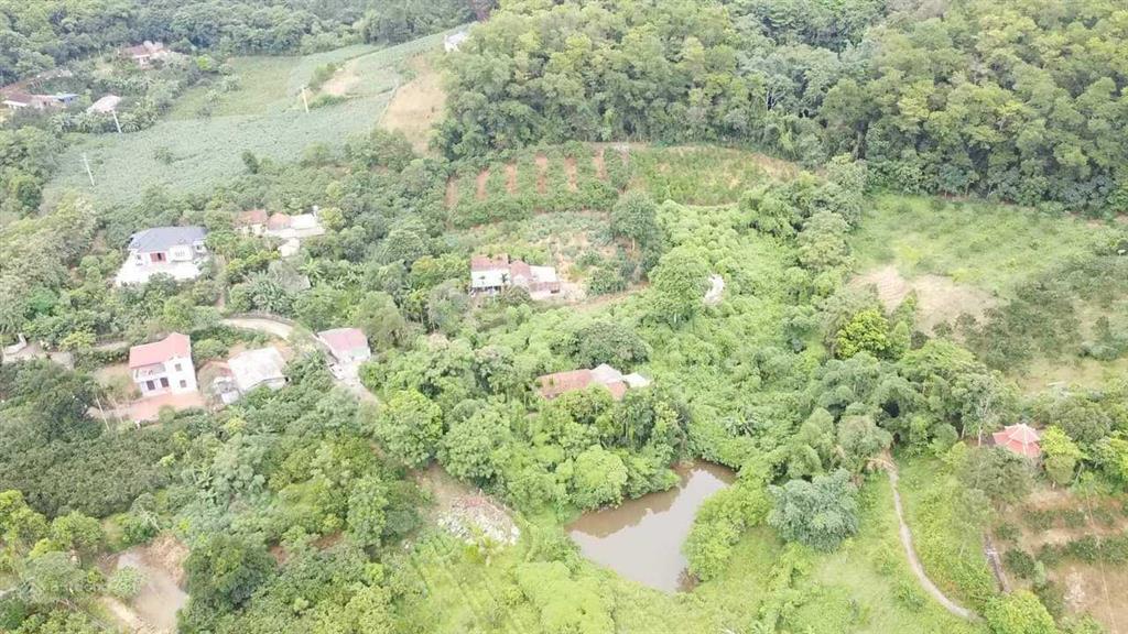 Bán đất ba vì, hà nội trong đất có ao gần sông đà