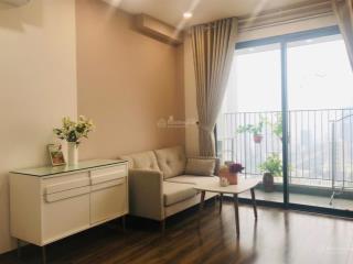 Nhà đẹp giá tốt bán studio c5 full đồ d'capitale trần duy hưng, vinhomes quản lý,  0979 407 ***