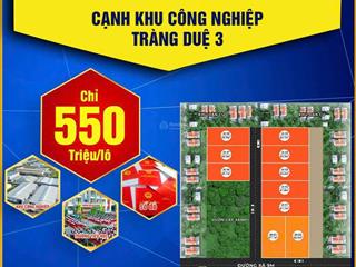 Bán đất nền 10 lô tại bát trang an lão hai phong