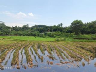 Nhích nhẹ 2 tỷ sở hữu ngay 570m đất ba trại, ba vì, hà nội view cánh đồng.phù hợp khuân viên nhà vư