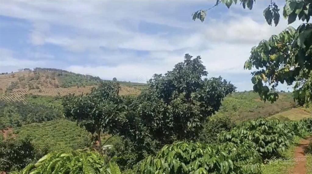 Đất ngộp giá rẻ, 200 triệu/sào. đất triền view núi đồi, săn mây