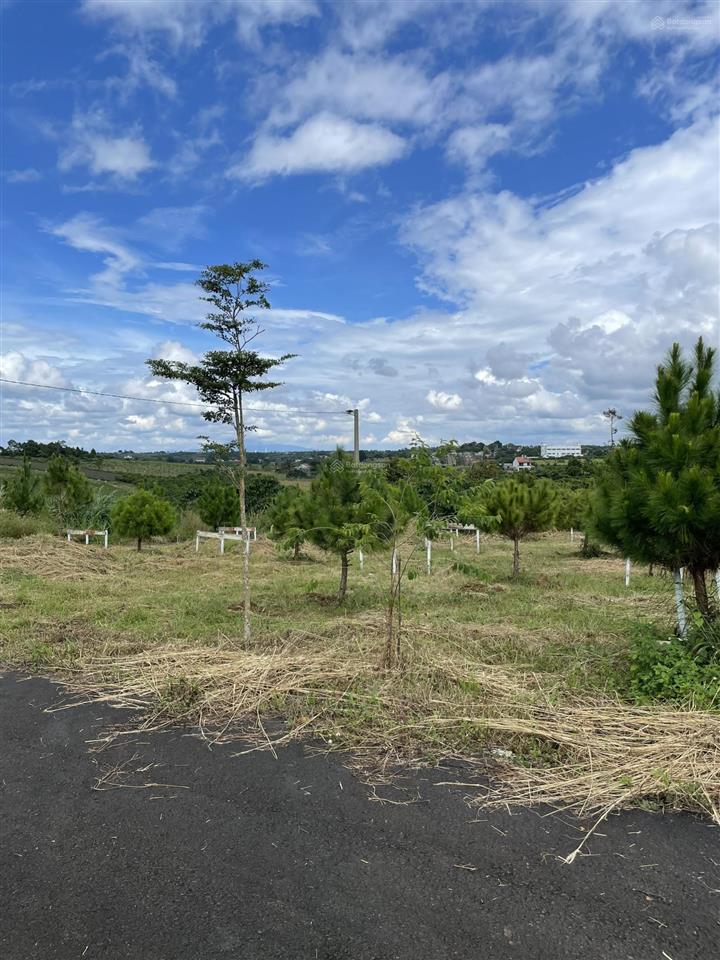 Cần bán đất ngay ngã 5 dambri, dt 305.3m2 có thổ cư sẵn sổ view săn mây cực đẹp giá chỉ 1 tỷ 5