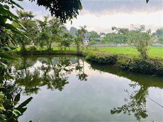 Siêu phẩm view cánh đồng view núi lương sơn, hoà bình