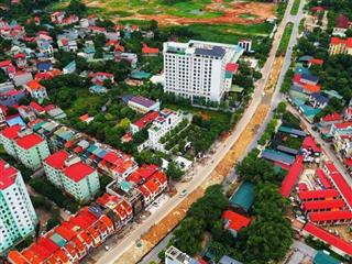 Bán Đất đường Nguyễn Tất Thành, Chợ Định Trung, Vĩnh Yên 100m2, giá chỉ 8,6 tỷ