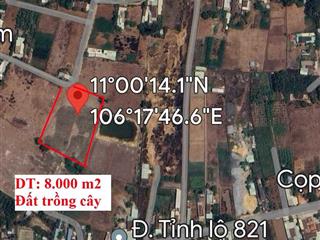 8.000 m2 đất trồng cây, đường 8m, tại xã lộc giang, huyện đức hòa, long an ... rẻ nhất khu vực