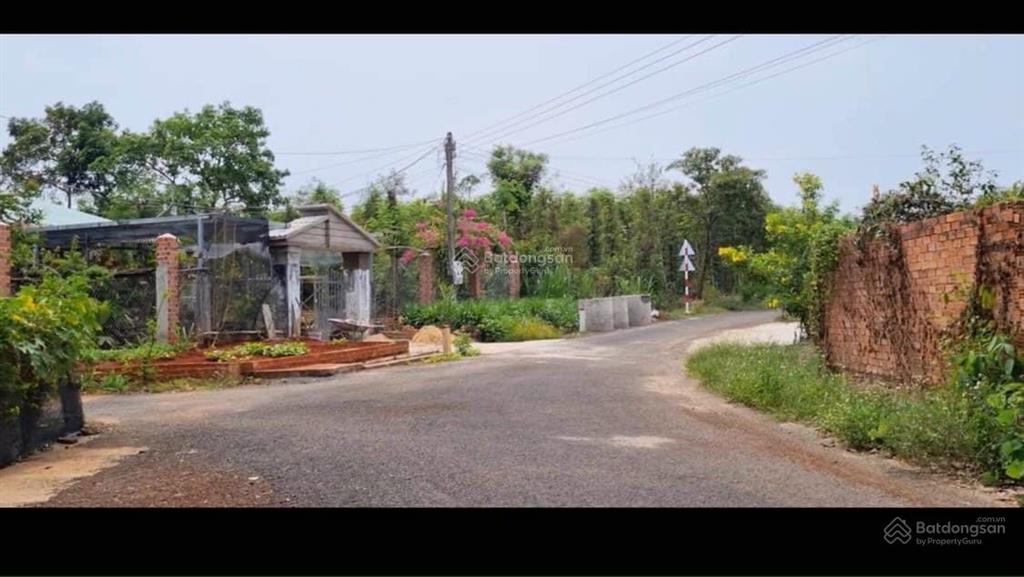 Bán 1 sào (100m2 tc) mt nhựa 790tr