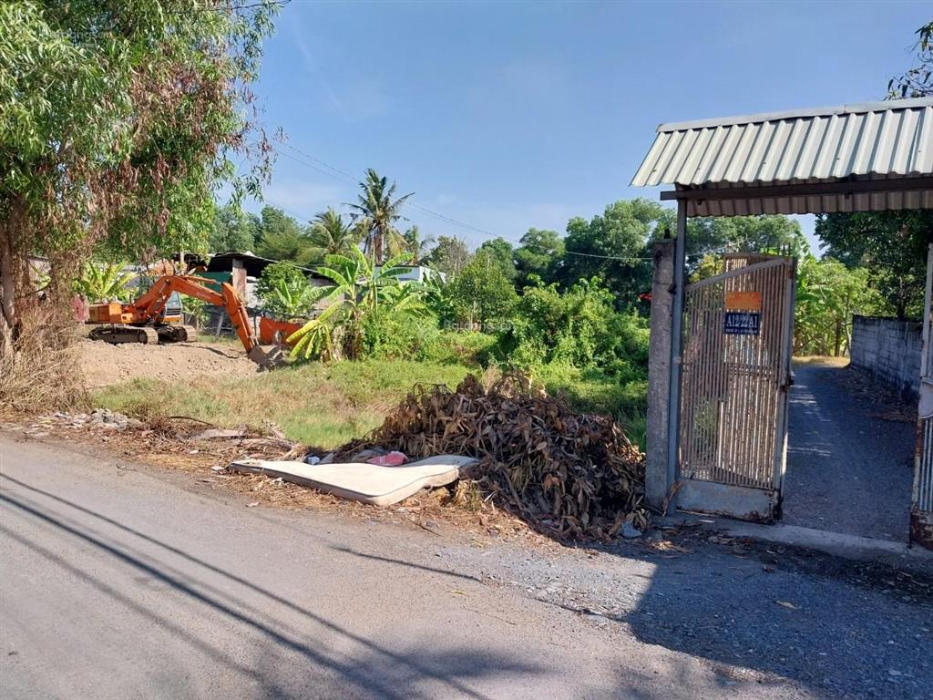 Nhà mặt tiền bờ bao xóm hố dương đình cúc, bình chánh, 859m2, ngang 20m