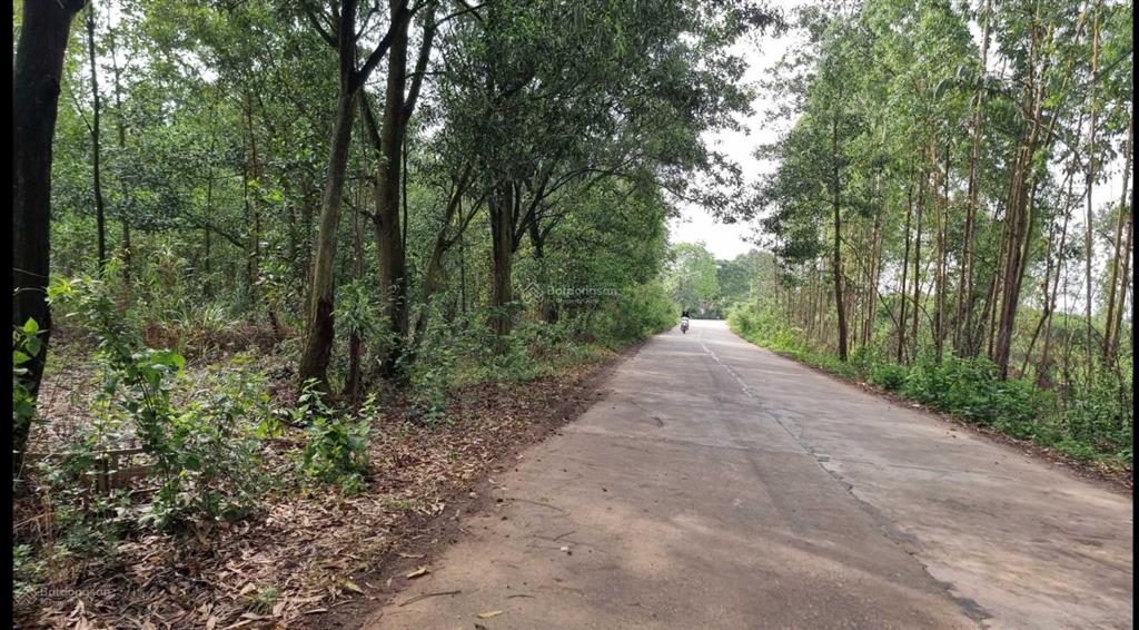 6500m2 mặt tiền đường bê tông xe công gần thung lũng thanh xuân và flamingo venus đại lải