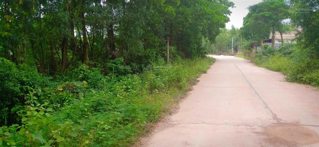 6500m2 mặt tiền đường bê tông xe công gần thung lũng thanh xuân và flamingo venus đại lải