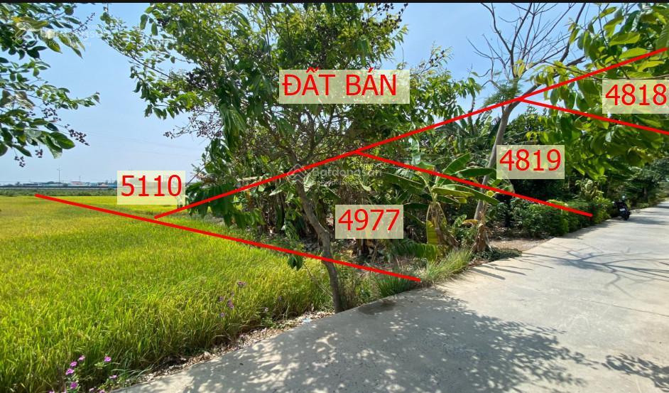 Bán đất thổ cư và đất lúa nhị thành, thủ thừa, long an
