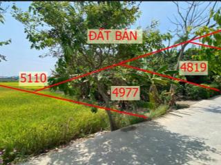 Bán đất thổ cư và đất lúa nhị thành, thủ thừa, long an