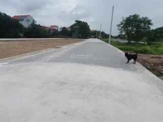 Đấu giá kiều đông  phú xuyên  2x triệu/m2