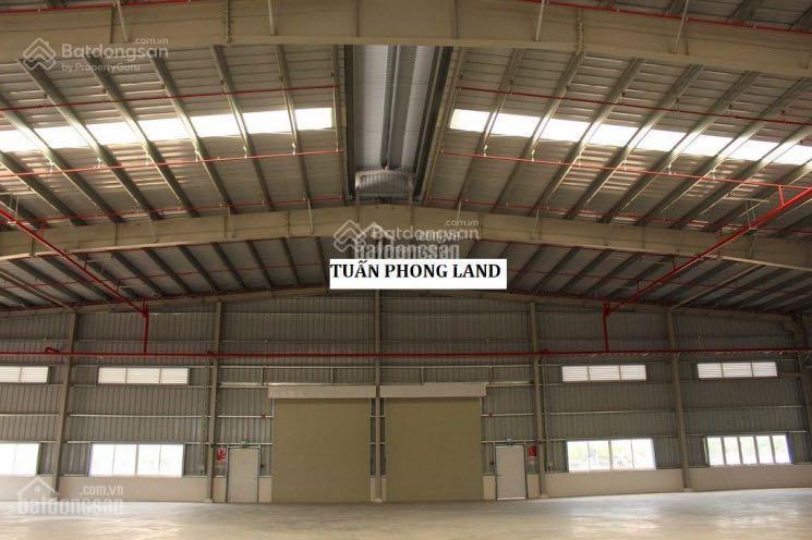 Cho thuê xưởng 5000m2 trong kcn biên hoà 2 đồng nai