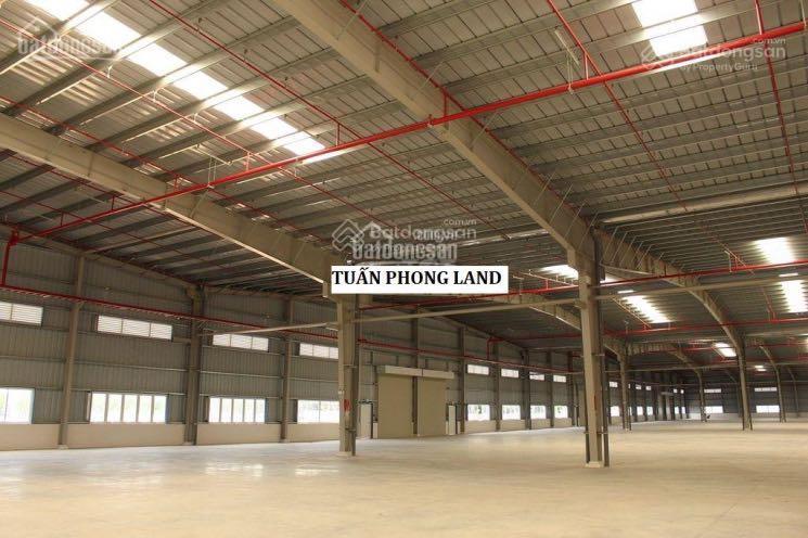 Cho thuê xưởng 5000m2 trong kcn biên hoà 2 đồng nai