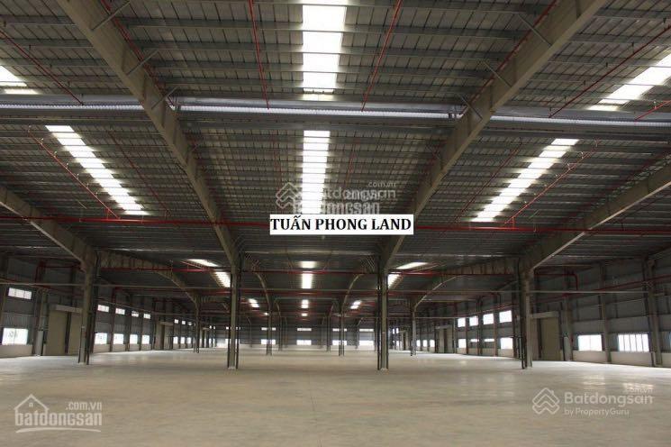 Cho thuê xưởng 5000m2 trong kcn biên hoà 2 đồng nai