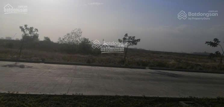 Cần bán đất trống trong kcn long an 20.000m2, đất đã có giấy tờ đầy đủ