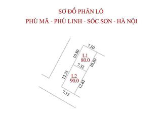 Hg hiếm có tại phù mã phù linh vị trí đất sát thị trấn huyện cách 600 m ra thị trấn dt 80 90 m2