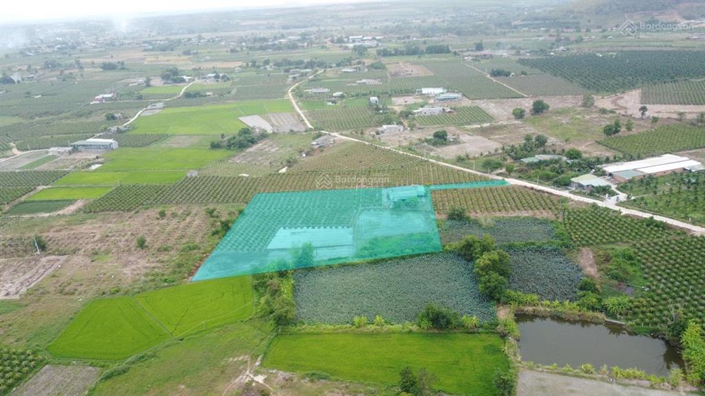 8,3 sào nhà vườn, tân tiến, gần biển. giá chỉ 290tr/sào