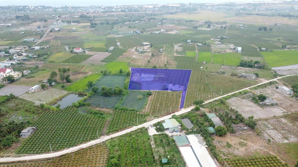 8,3 sào nhà vườn, tân tiến, gần biển. giá chỉ 290tr/sào