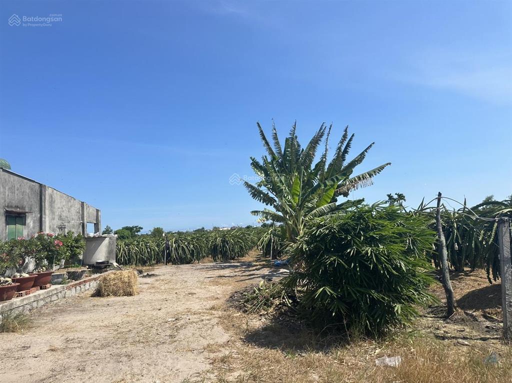 8,3 sào nhà vườn, tân tiến, gần biển. giá chỉ 290tr/sào