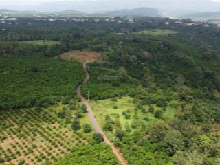 Mảnh đất trên đỉnh đồi đường số 1 tân lac quốc lộ 20 đi vào 3,8km