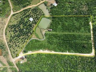 Bán đất vườn thôn 5 xã lộc nam huyện bảo lâm, lâm đồng, cách ql 55 chỉ 1km