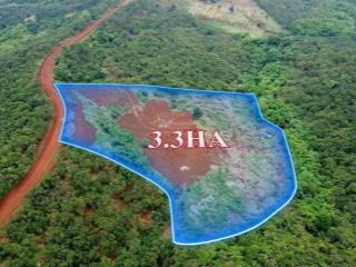 Bán đất quảng tân, 2.6ha, 100m đường đang đổ bê tông, giá bán 1,35 tỷ