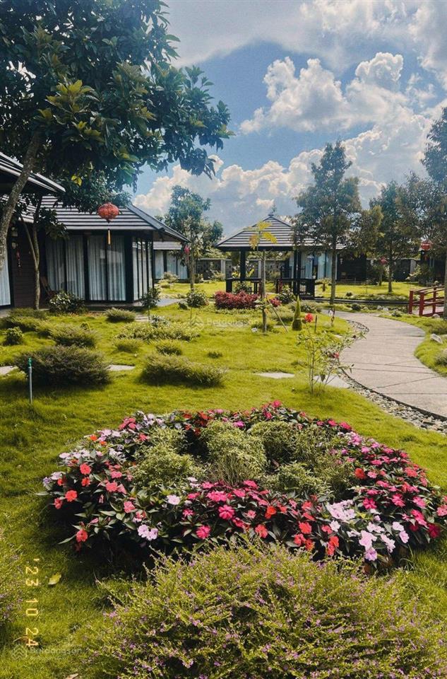 Cần bán homestay ngay trung tâm bảo lộc, đang đi vào hoạt động ổn định. giá chỉ 24 tỷ