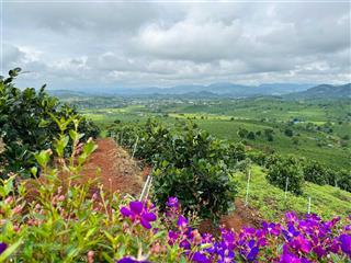 (giá rẻ) bán 1079m2 đất view cực đẹp, sẵn sổ hồng, sẵn thổ cư, đường ô tô, cách đà lạt 13km