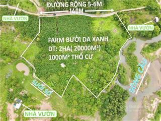 Bán 2 hecta vườn bưởi da xanh xã sông cầu, có sẵn 1000m2 thổ cư giá rẻ chỉ hơn 6,8 tỷ