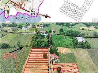 Mới! trực tiếp cđt. bán 12 lô đất tại thôn lệ cẩm 2 bám mặt đường quy hoạch quốc lộ 217b