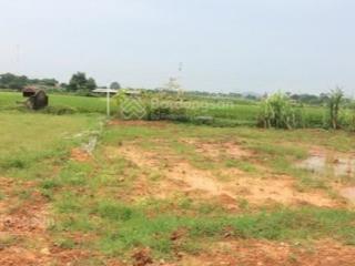 Chính chủ bán 1200m2 đất trồng lúa nước nằm trong khu dân cư hiện hữu