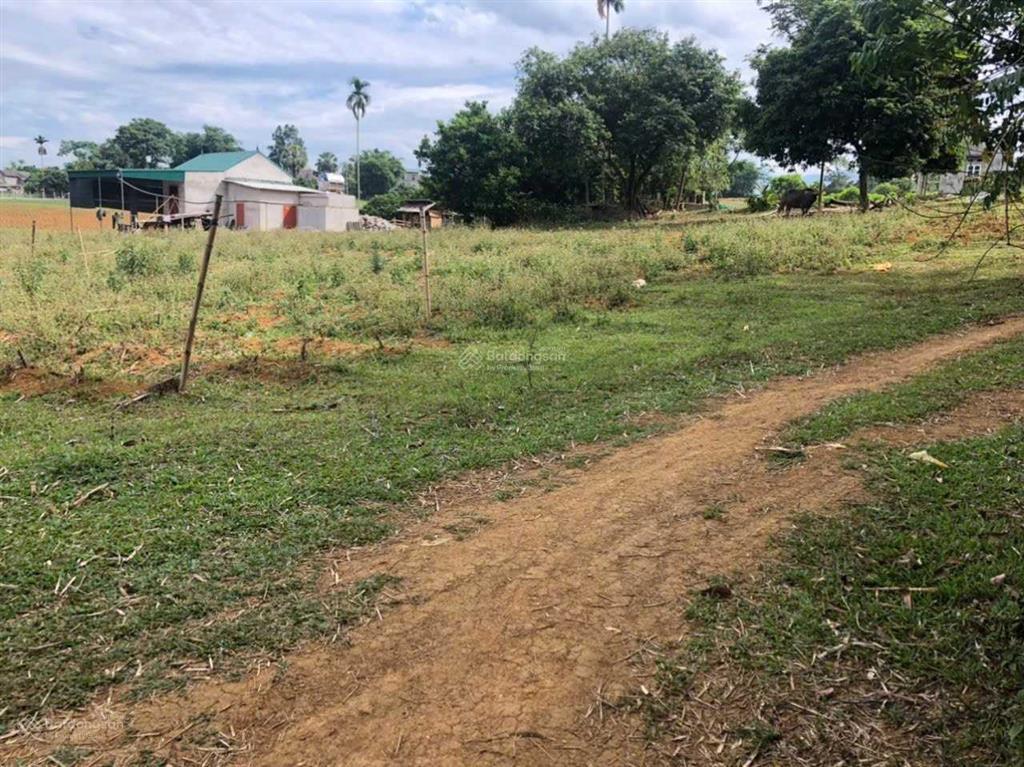 Cần bán 3800m2 đất ờ 400m2 tại vĩnh tiến, kim bôi, hòa bình