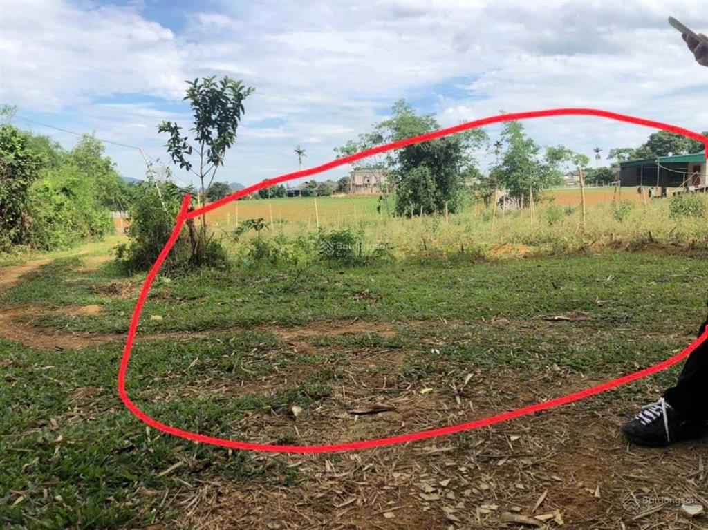 Cần bán 3800m2 đất ờ 400m2 tại vĩnh tiến, kim bôi, hòa bình