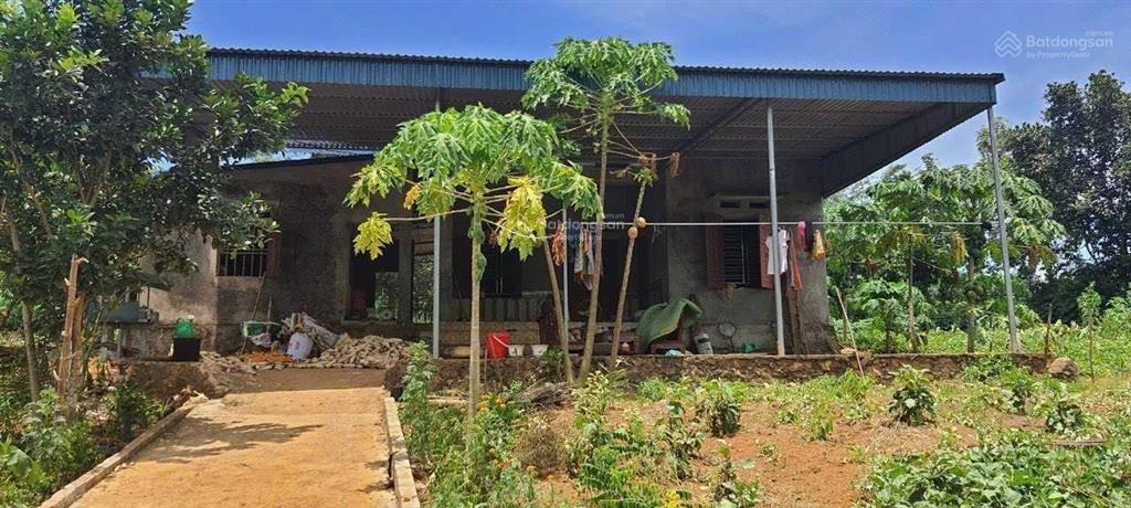 Cần bán 3800m2 đất ờ 400m2 tại vĩnh tiến, kim bôi, hòa bình