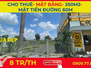 Cho thuê đất 250m2, mt đường 42m, đối diện đô thị e. city, tiện kinh doanh, buôn bán